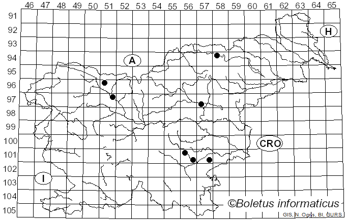 <i>Hydnellum ioeides</i> (Pass.) E. Larss., K.H. Larss. & Kõljalg (2019)