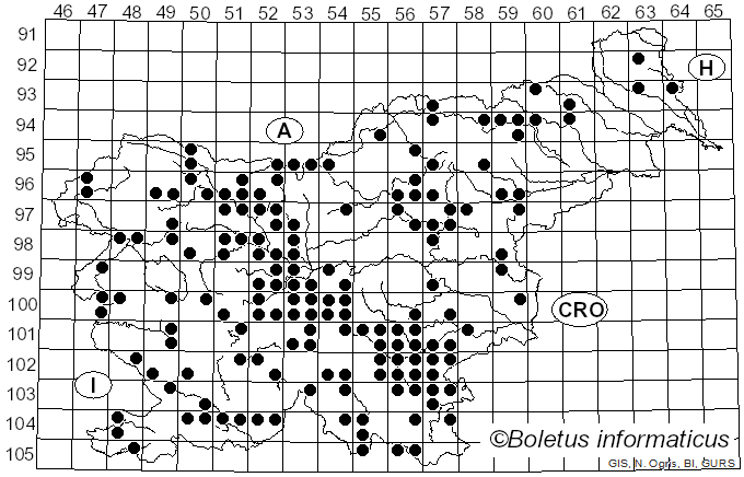 <i>Russula aurea</i> Pers. (1796)
