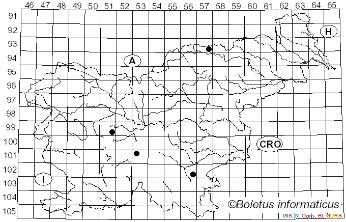 <i>Phialocephala</i> W.B. Kendr. (1961)