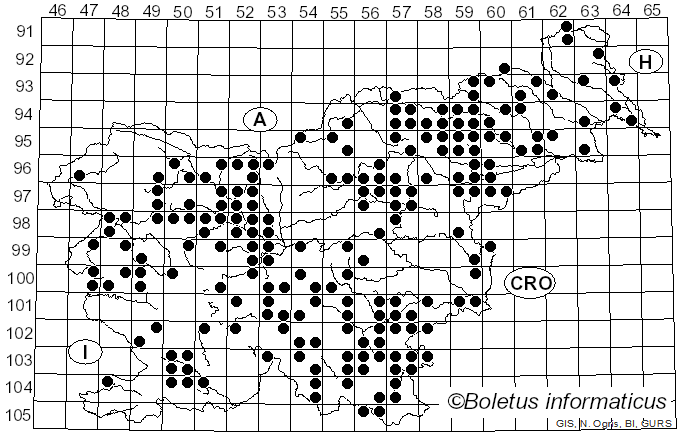 <i>Ganoderma applanatum</i> (Pers.) Pat. (1887)