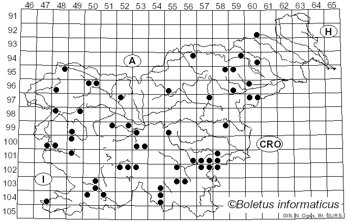 <i>Podofomes mollis</i> (Sommerf.) Gorjón (2020)