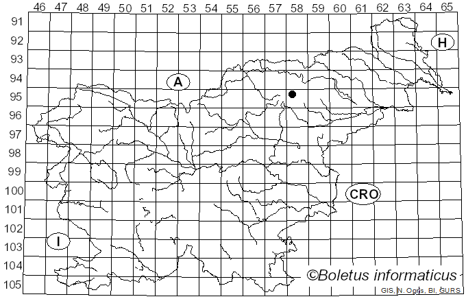 <i>Iodophanus</i> Korf (1967)