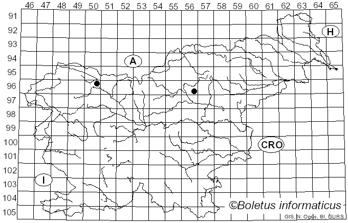<i>Didymosphaeria</i> Fuckel (1870)