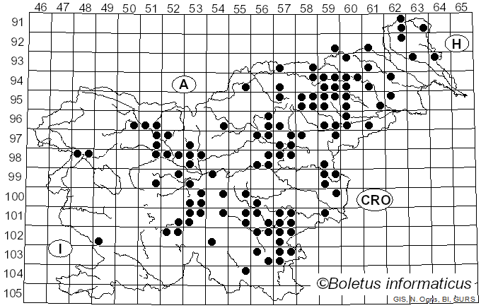 <i>Russula solaris</i> Ferd. & Winge (1924)