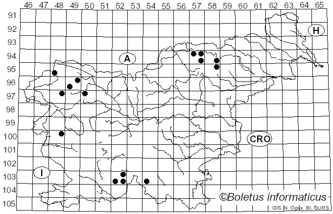 <i>Loxospora</i> A. Massal. (1852)