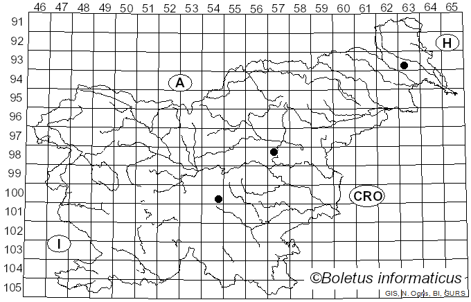 <i>Arrhenia spathulata</i> (Fr.) Redhead (1984)