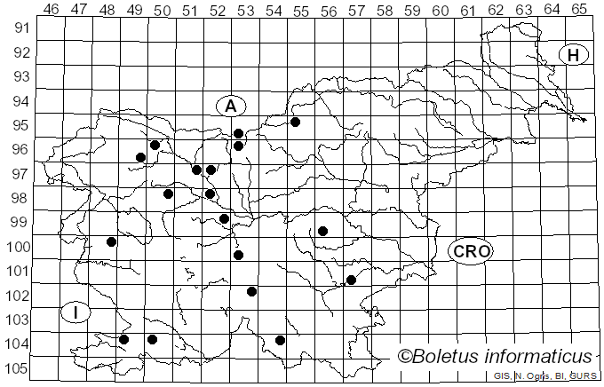 <i>Exidiopsis</i> (Bref.) Möller (1895)