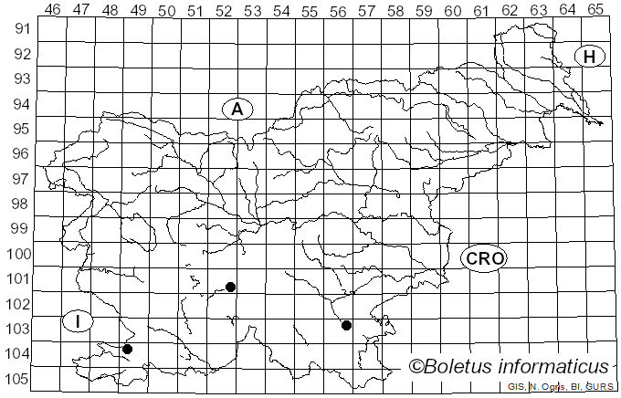<i>Resupinatus alboniger</i> (Pat.) Singer (1978)