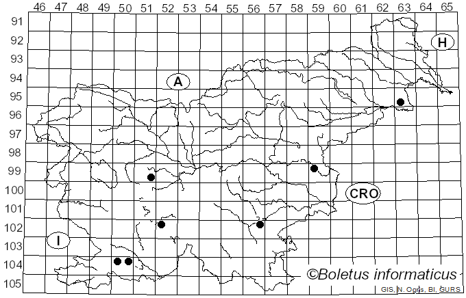 <i>Ascocoryne inflata</i> D.E. Wilson
