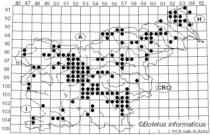 <i>Tricholoma portentosum</i> (Fr.) Quél. (1872)