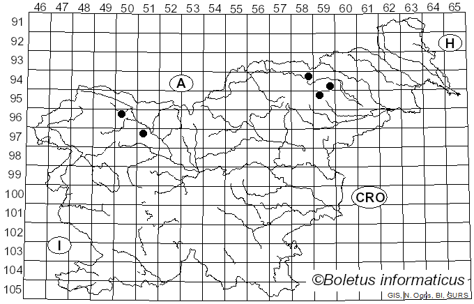 <i>Mycena plumbea</i> (Fr.) Sacc. (1947)
