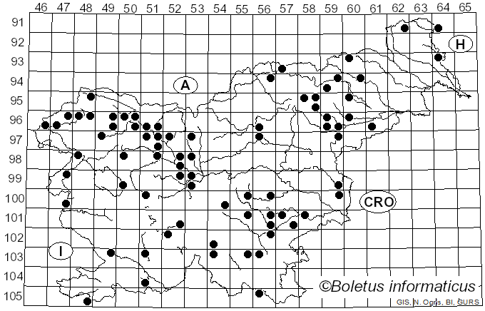 <i>Humaria</i> Fuckel (1870)