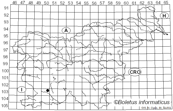 <i>Ceriporiopsis consobrina</i> (Bres.) Ryvarden (1988)