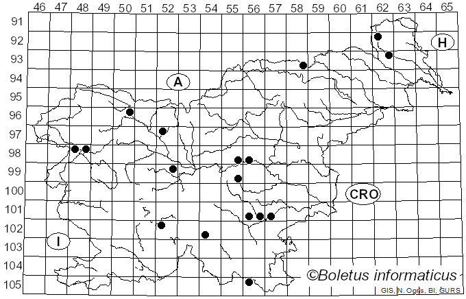 <i>Tricholoma umbonatum</i> (J.E. Lange) Clémençon & Bon