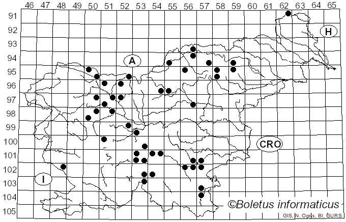 <i>Butyriboletus subappendiculatus</i> (Dermek, Lazebn. & J. Veselský) D. Arora & J.L. Frank (2014)