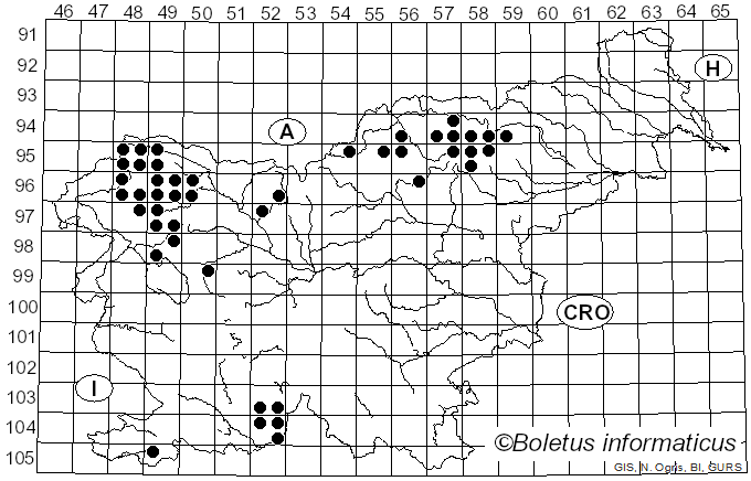<i>Bryoria</i> Brodo & D. Hawksw. (1977)