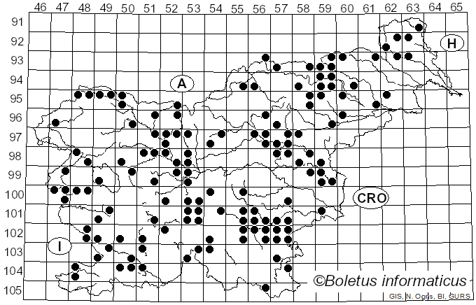 <i>Marasmius oreades</i> (Bolton) Fr. (1836)