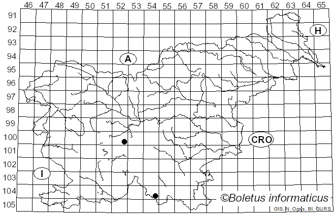 <i>Pyrenochaeta</i> De Not. (1849)