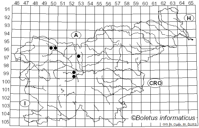 <i>Tympanis conspersa</i> (Fr.) Fr. (1822)
