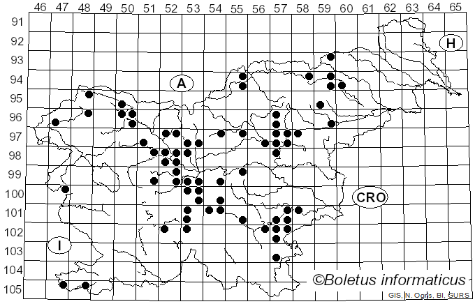 <i>Inosperma erubescens</i> (A. Blytt) Matheny & Esteve-Rav. (2019)
