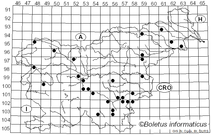 <i>Laxitextum bicolor</i> (Pers.) Lentz (1956)