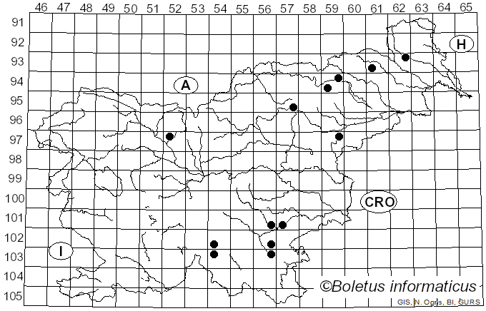 <i>Inocybe oblectabilis</i> (Britzelm.) Sacc. (1882)