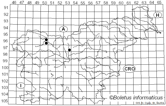 <i>Tubifera</i> J.F. Gmel. (1792)