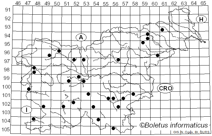 <i>Hydnoporia tabacina</i> (Sowerby) Spirin, Miettinen & K.H. Larss. (2019)