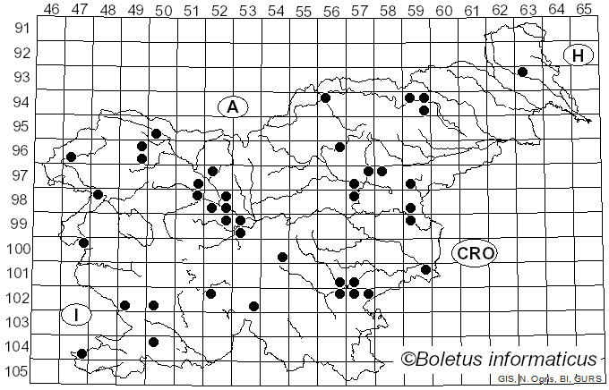 <i>Agaricus bisporus</i> (J.E. Lange) Pilát (1951)