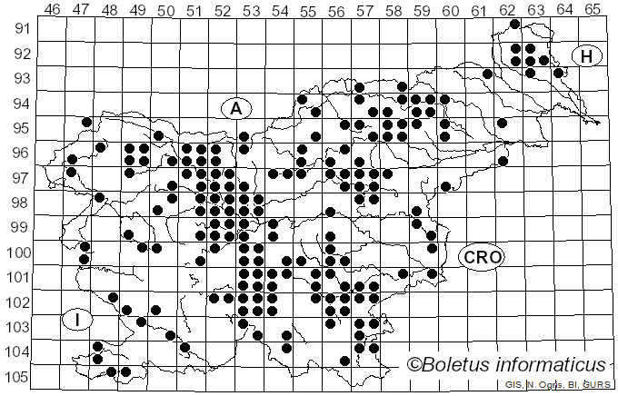 <i>Craterellus lutescens</i> (Fr.) Fr. (1838)
