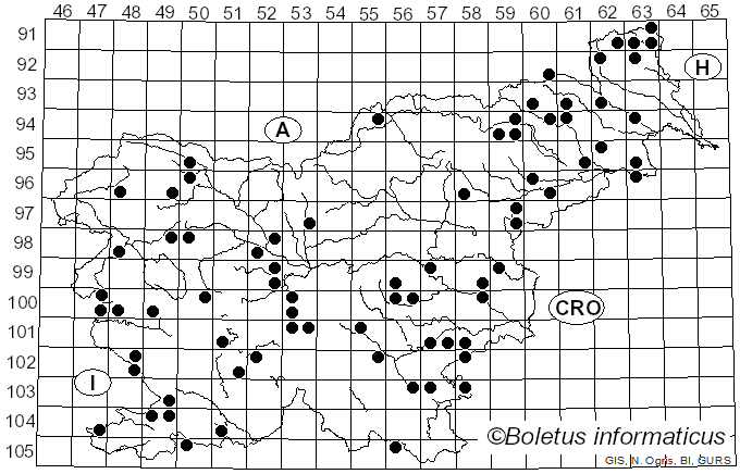 <i>Biscogniauxia</i> Kuntze (1891)