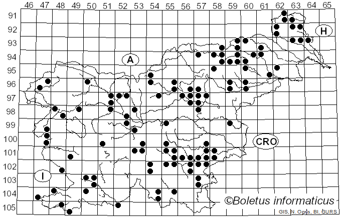 <i>Hapalopilus nidulans</i> (Fr.) P. Karst. (1881)