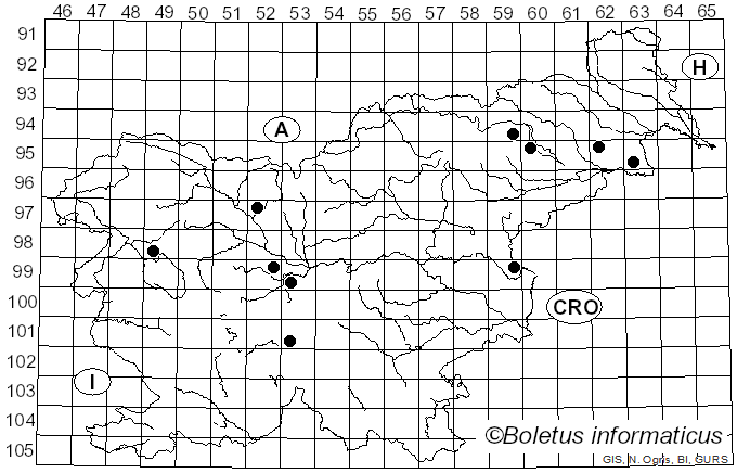 <i>Inocybe calospora</i> Quél. (1881)