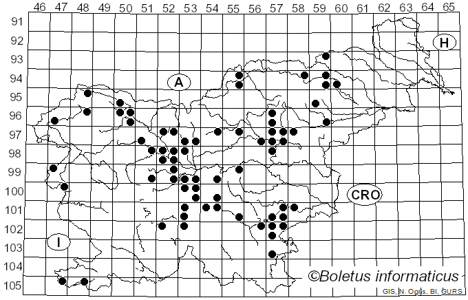<i>Inosperma erubescens</i> (A. Blytt) Matheny & Esteve-Rav. (2019)