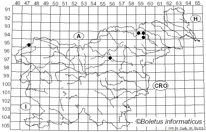 <i>Laccaria pumila</i> Fayod (1893)