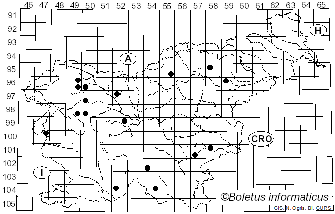 <i>Mallocybe terrigena</i> (Fr.) Matheny, Vizzini & Esteve-Rav. (2019)
