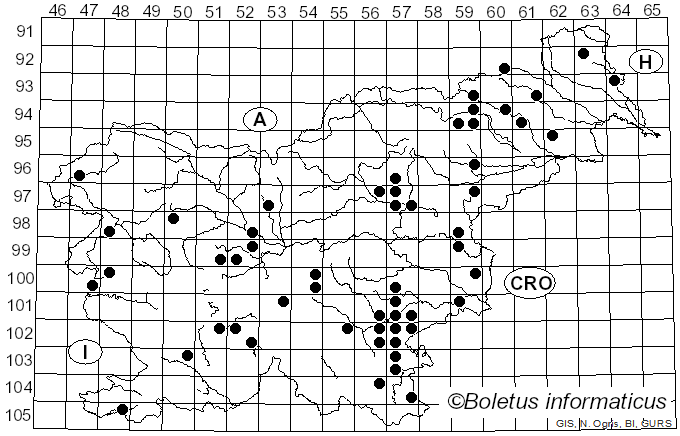 <i>Psathyrella spadiceogrisea</i> (Schaeff.) Maire (1937)