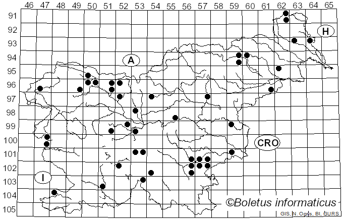 <i>Clitocybe fragrans</i> Sowerby (1821)