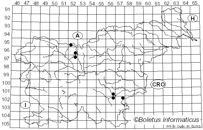 <i>Entoloma plebejum</i> (Kalchbr.) Noordel. (1985)