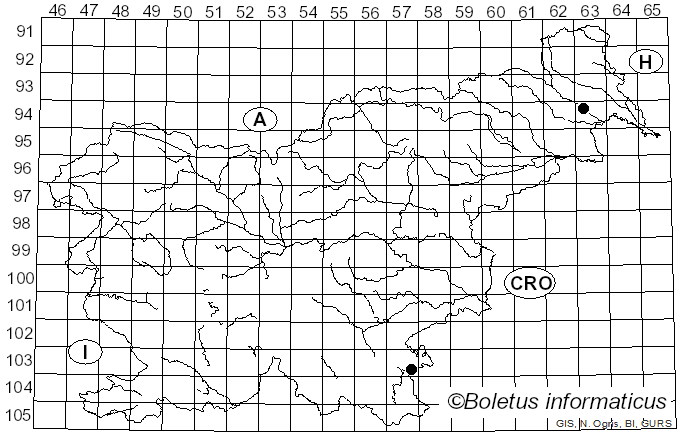 <i>Chaetosphaeria ovoidea</i> (Fr.) Constant., K. Holm & L. Holm (1995)