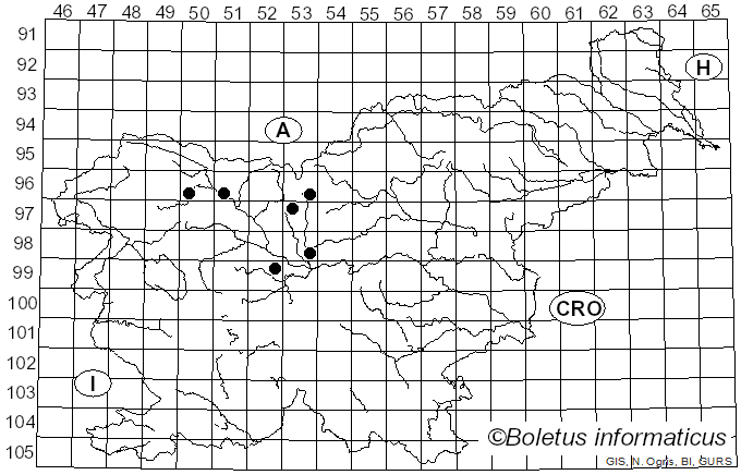 <i>Mycosphaerella depazeiformis</i> (Auersw.) Lindau (1903)