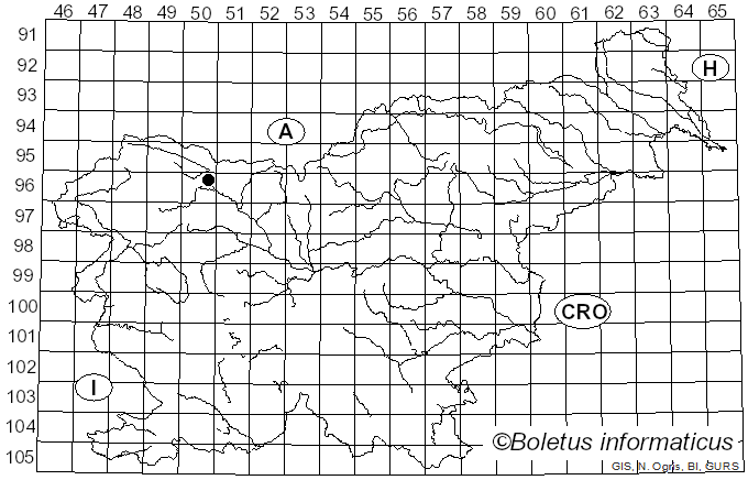<i>Puccinia passerinii</i> J. Schröt.