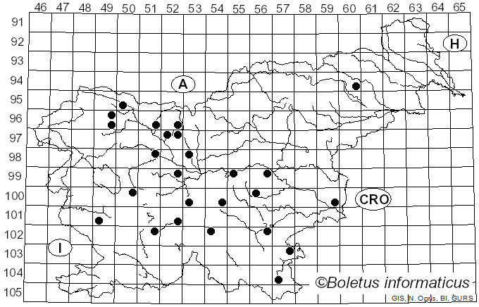 <i>Ceratiomyxa porioides</i> (Alb. & Schwein.) J. Schröt. (1889)