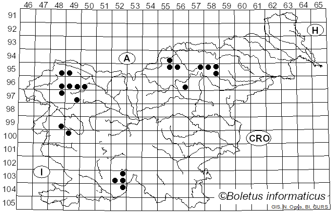 <i>Calicium</i> Pers. (1794)
