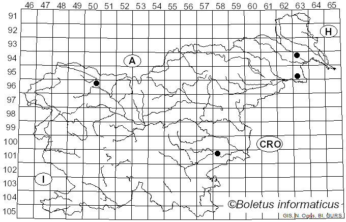<i>Arachnopeziza trabinelloides</i> (Rehm) Korf (1952)