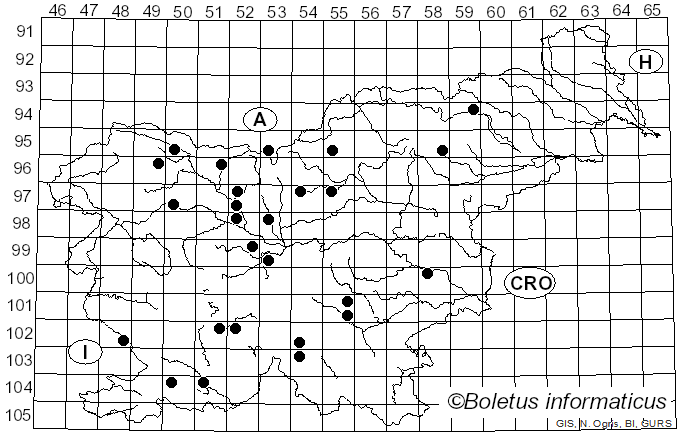 <i>Pluteus roseipes</i> Höhn.