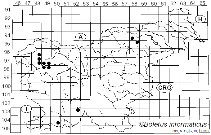 <i>Arthopyrenia</i> A. Massal. (1852)