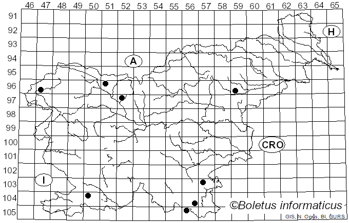 <i>Tectella patellaris</i> (Fr.) Murrill (1915)