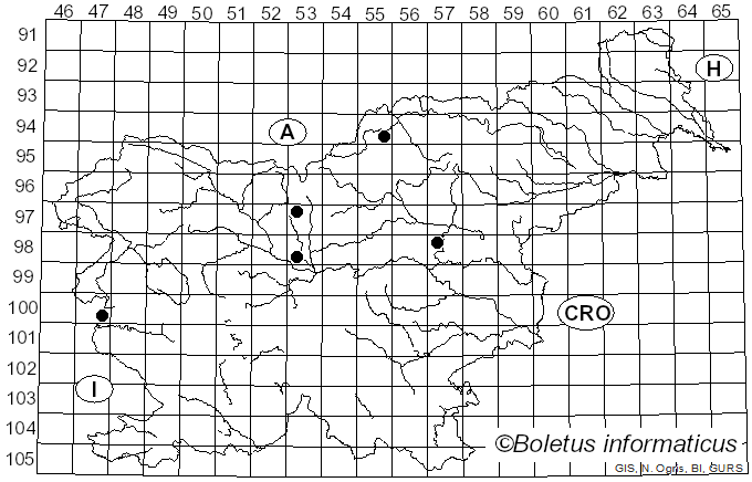 <i>Melampsorella symphyti</i> Bubák (1903)