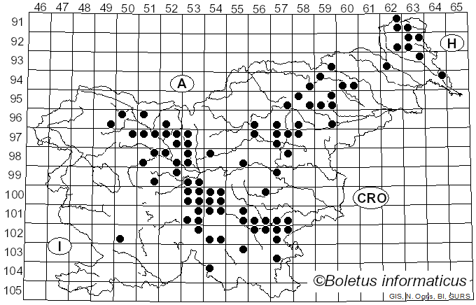 <i>Hygrophorus marzuolus</i> (Fr.) Bres. (1893)